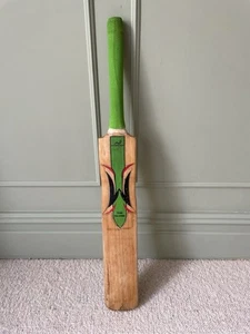 Woodworm The Globe Cricket Bat Premier - Picture 1 of 14