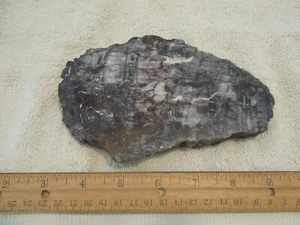 New Mexico polierte versteinerte Holzplatte geschnitten 1 Pfund 4 Unzen, 6,5 x 4,25, 5/8 Zoll dick L36 - Bild 1 von 3