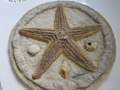 Kathleen Denis Waters Edge Seaside Star Fish Stone Wall Plaque #55226 12" x 12" Foto 1 de 4