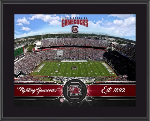 South Carolina Gamecocks 10" x 13" Team Stadium Plaque Authentic Cover