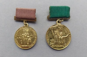 Two Rare Soviet Badges of Achievements of National Economy. VDNKH. USSR - Picture 1 of 13