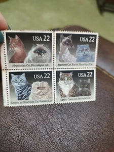 Francobolli USA 4 francobolli razze gatto - Foto 1 di 3