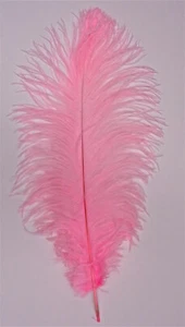 Plumas de avestruz rosa caramelo 12-16 pulgadas de largo por cada una - Imagen 1 de 2
