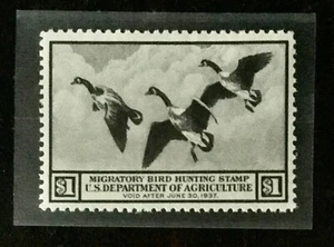 Federal Duck Hunting Stamp RW3 M XF/Sup NH OG migratory duck hunting stamp 1936 - Picture 1 of 2