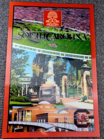 South carolina gamecocks University 3D Poster  campus football 16X24 Cover