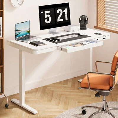 FunniHomi 48"/55"Electric Height Adjustable Standing Desk with Drawer, USB Ports