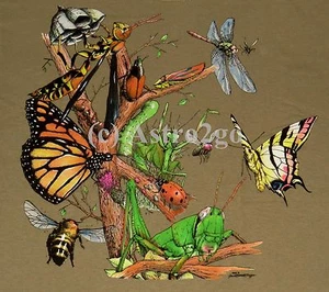 PATIO TRASERO INSECTOS-Insectos Abejas Mariposa Libélula Saltamontes Ciencia Naturaleza Camiseta - Imagen 1 de 2