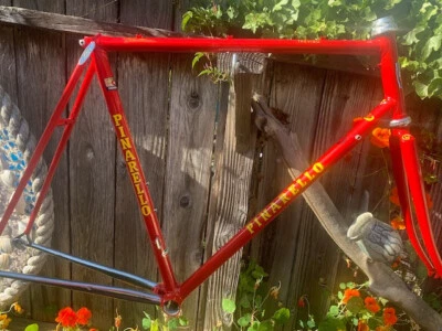 Juego de marco de acero vintage 58 cm Pinarello Treviso - Acabado + extras Foto 1 de 4