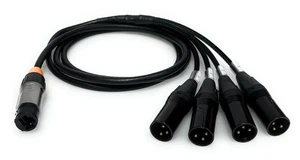 DG Systems - Adattatore da Ethercon femmina a 4 XLR maschi - Made in Italy - Picture 1 of 2