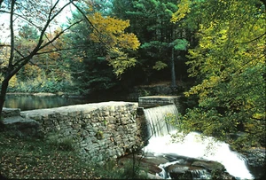 KODACHROME COLOR SLIDE - 1979 AUTUMN IN PA. - ORIG ONE OF A KIND - Picture 1 of 1