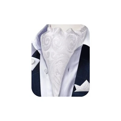 White Ascot Ties for Men Paisley Cravat for Men 100% Silk Woven Mens Cravat T... - Image 1 of 4