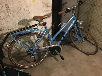 Fahrrad + Fahrradanhänger + Fahrradschloss Pegasus Solero blau Neuwertig  - Bild 1 von 2