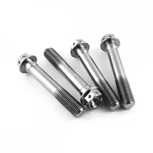 Pernos de montaje hexagonales de pinza delantera KTM RC8 08-10 Titanium Race Spec - Imagen 1 de 1