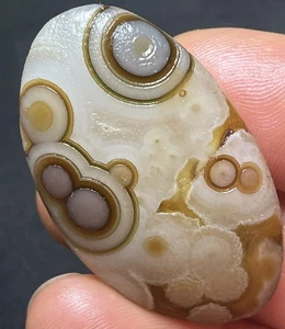 Natürliche Mongolei Gobi Auge grober Achat Stein Sammlung Präparat - Bild 1 von 4