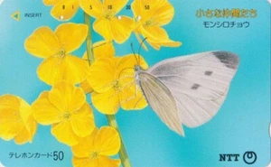TC ancienne JAPON - ANIMAL - PAPILLON sur fleur - BUTTERFLY JAPAN phonecard - Imagen 1 de 1