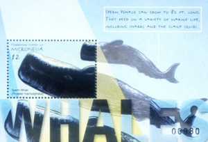 Fauna. Whales 2001. - Picture 1 of 1