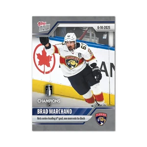 Lote de 6 pegatinas NHL Topps AHORA 2024-25 #205-210 Florida Panthers NHL Champions - Imagen 1 de 6