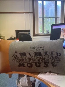 Almohada de Mickey Friends de los parques Disney 2023 100 años Eras Walt Disney Studios - Imagen 1 de 4