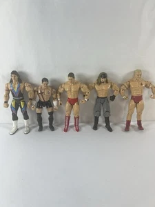 Lote De 5 Luchadores Figura De Acción Lucha Libre Jakks Pacific WWE WWF De Colección - Imagen 1 de 9