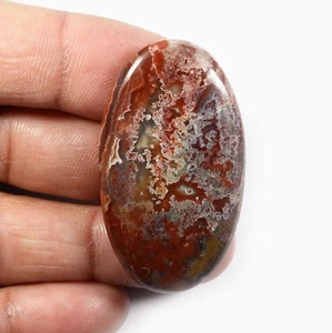 Crazy Lace Agate Natural Cabochon 53 Cts Oval Loose Gemstone {44X25} mm MI23-18 - Picture 1 of 7