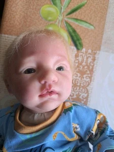 Reborn, Rebornbaby, Mini Reborn Findling Linde Scherer (4) - Bild 1 von 3