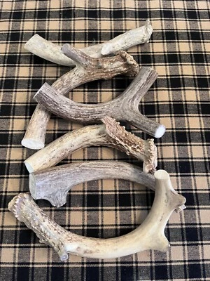1LB Natural Whitetail Deer Antlers - Image 1 of 3