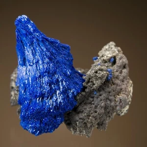 Azurite Copper Queen Mine, Bisbee, Cochise County, Arizona 1400-231 - Imagen 1 de 5