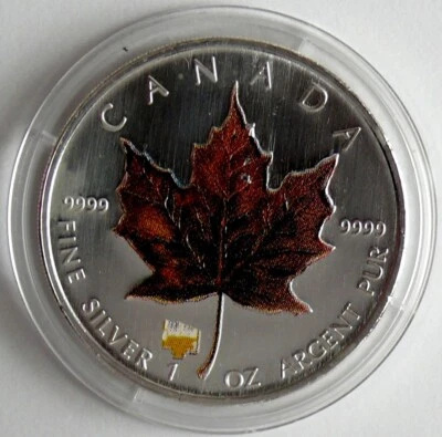 Kanada 5 Dollars 2007 Maple Leaf - Winter, Privy, 1 Oz Silber - Bild 1 von 2