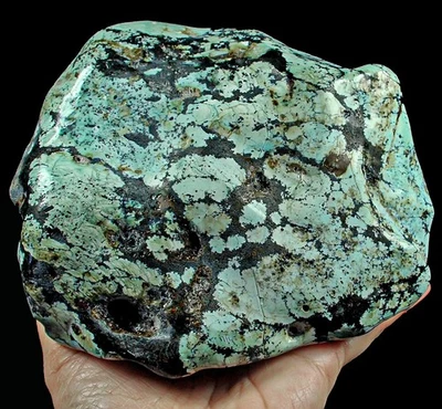 4066Ct High-hardness Spiderweb Turquoise Rough Specimen YKM7195 - Image 1 of 4