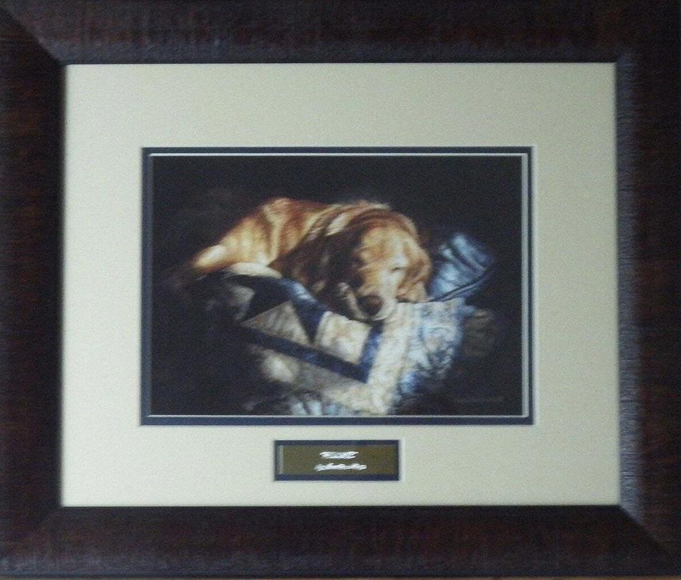 Sueellen Ross Snooze-Framed Dog Print-18 x 15 - Image 1 of 1