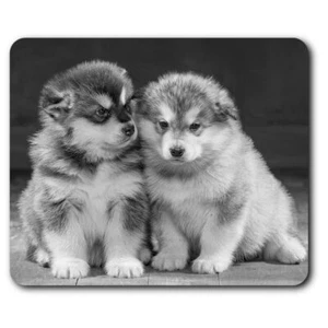 Rectangle Mouse Mat BW - Alaskan Malamute Puppies Dog Puppy #37154 - Afbeelding 1 van 8
