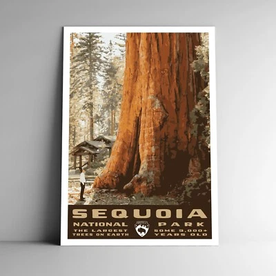 Sequoia National Park Travel Poster / Postcard California USA Multiple Sizes