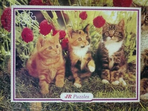 500 piece jigsaw puzzle KITTENS JR cats - Picture 1 of 3