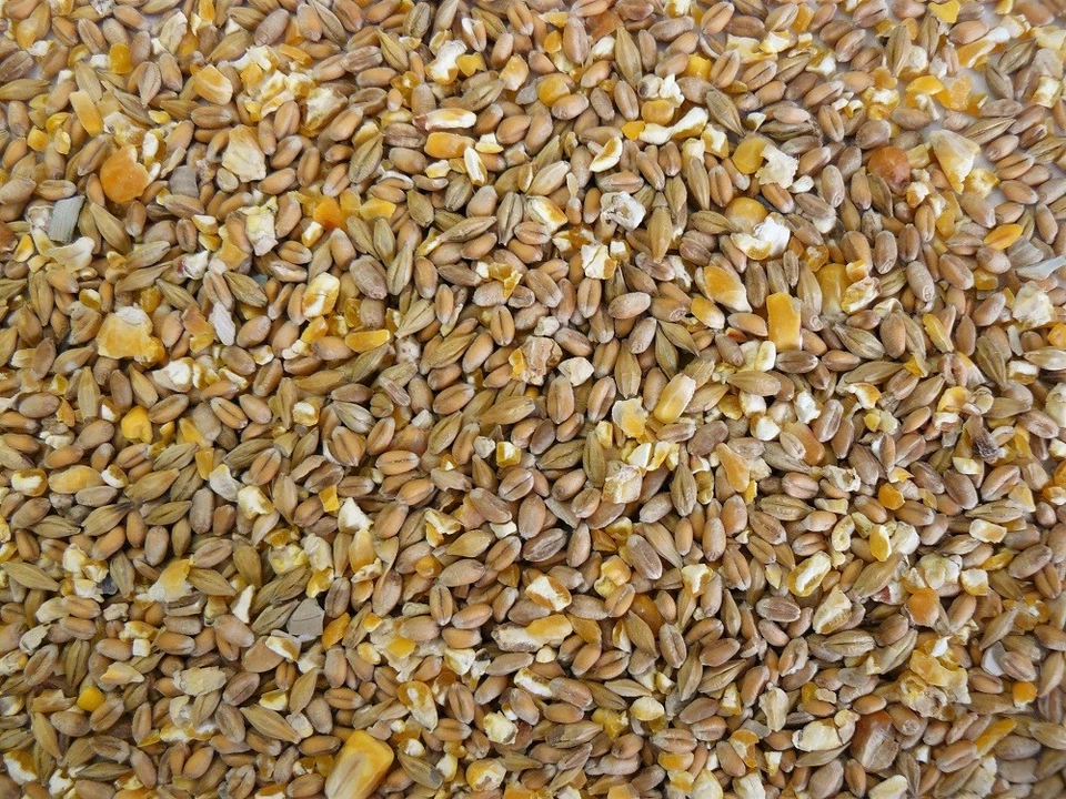 deuka Körner Extra 10kg Geflügelfutter Legehennen Hühnerfutter GVO frei staubarm - Bild 1 von 1