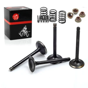 Intake Exhaust Valve Kit Seals For EZGO Gas Fuji- robin engine 295cc 350cc 96-up - Picture 1 of 10