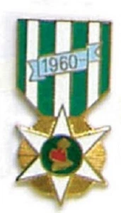PIN SOLAPA SOMBRERO MILITAR - PIN CAMPAÑA VIETNAM - NUEVO - Imagen 1 de 1