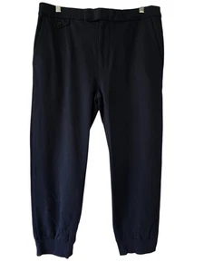 Polo Ralph Lauren Pants Mens Large Jogger Cuffed Modal Blend Casual Soft Comfort - Picture 1 of 13