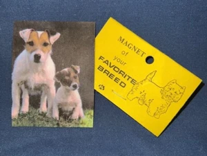 Jack Russell Terrier Magnet - Momma and Pup - Picture 1 of 3