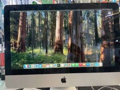 Imac 21.5 I3 CPU 3.06 GHZ  RAM 16 GB HD 120 SSD MAC OS SEQUOIA - Immagine 1 di 4