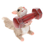  Animals Mini Squirrel Figurines Little Lifting Dumbbell Small