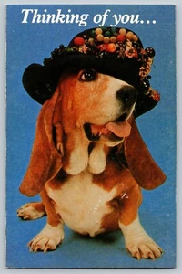THINKING OF YOU DOG Basset Hound North Shore Animal League unused Postcard A35 - Picture 1 of 2