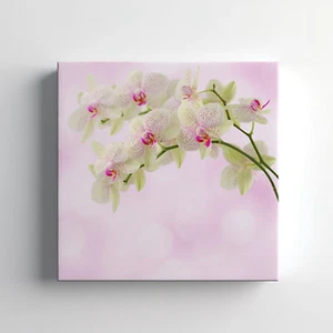 Green Pink Orchid Flowers Canvas Print Wall Art, Stylish Home Decor Wall Hanging - Picture 1 of 12