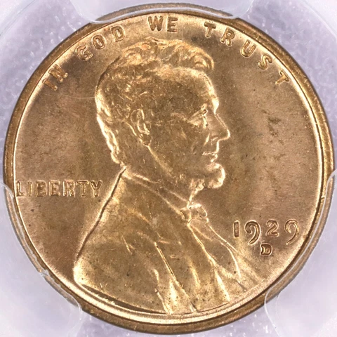 1929-D 1c Lincoln Wheat - PCGS MS63 RD Cover