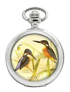 Kingfisher Reloj de Bolsillo - Picture 1 of 4