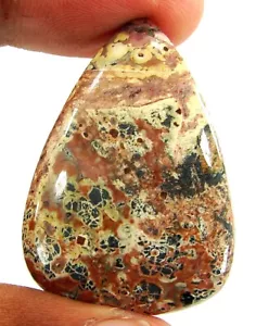Envoltura de alambre de cabujón de piedras preciosas sueltas de jaspe piel de leopardo natural de 43,80 quilates - 22889 - Imagen 1 de 2