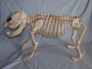SKELETON DOG 18" Halloween Decoration - Picture 1 of 1