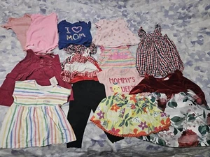 Baby Girl Clothes Lot 12 Months Summer Tshirts, Dresses Lot Of 14 - Picture 1 of 6