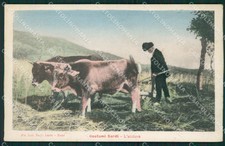 Nuoro Oliena Costumi Sardi Aratura cartolina MQ5215