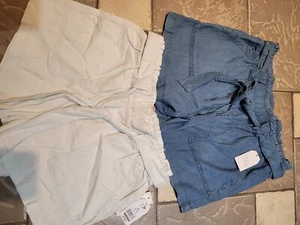 NEW 2 PAIRS TIME AND TRU ELASTIC WAIST SHORTS WOMENS M 8-10 - Picture 1 of 6