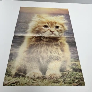 "Hanging Around" Cat Poster #B705 Never Used 1982 Troll Associates *See pics* - Picture 1 of 8